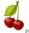 Cherry