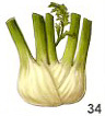 Fennel