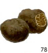Truffle